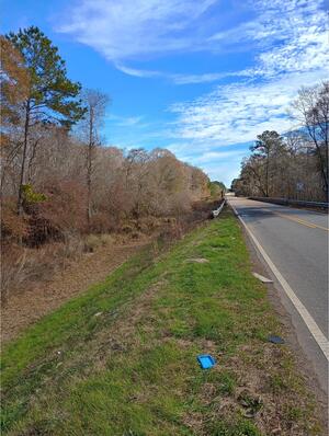 [Trash, Little River @ Omega-Eldorado Bridge, Little River @ Omega-Eldorado Road 2025-01-28]