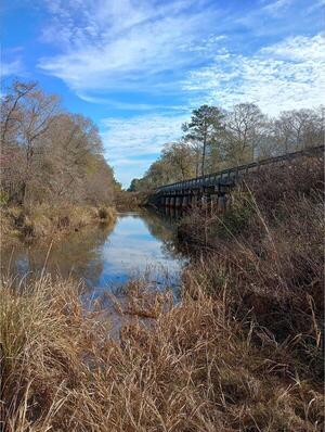 [Riverside, Little River @ Omega-Eldorado Bridge, Little River @ Omega-Eldorado Road 2025-01-28]