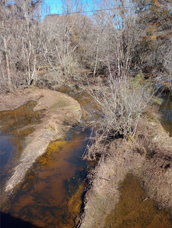 Upstream channel, GA 125, Tifton, GA, New River of Withlacoochee 2025:02:02 12:58:03, 31.3607025, -83.4281311