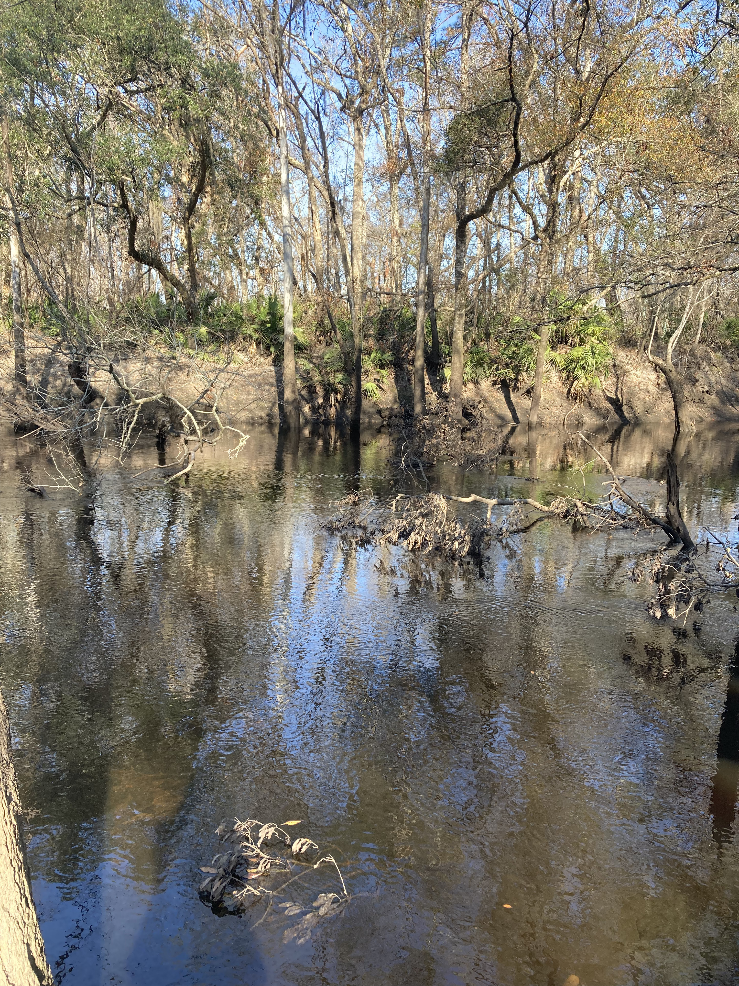 Staten Road, Withlacoochee River @ Staten Road 2025-02-06