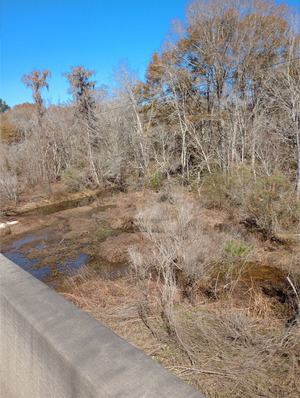 [Downstream, GA 125, Tifton, GA, New River of Withlacoochee 2025:02:02 12:56:55, 31.3607025, -83.4281311]