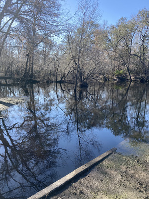 [Downstream, Langdale Park Boat Ramp, Withlacoochee River @ North Valdosta Road 2025-02-06]