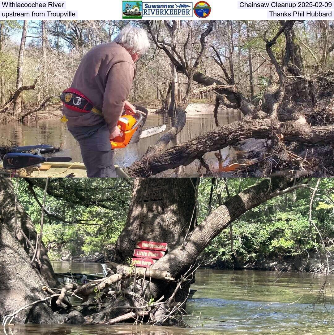 Withlacoochee River Chainsaw Cleanup 2024-02-09, upstream from Troupville, Thanks Phil Hubbard