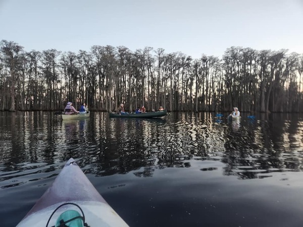 Boaters and cypress --Elizabeth Brunner