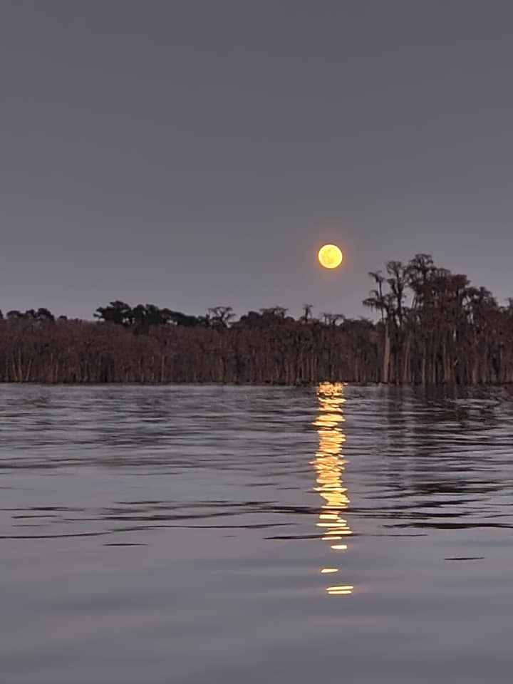 Moonrise --Elizabeth Brunner