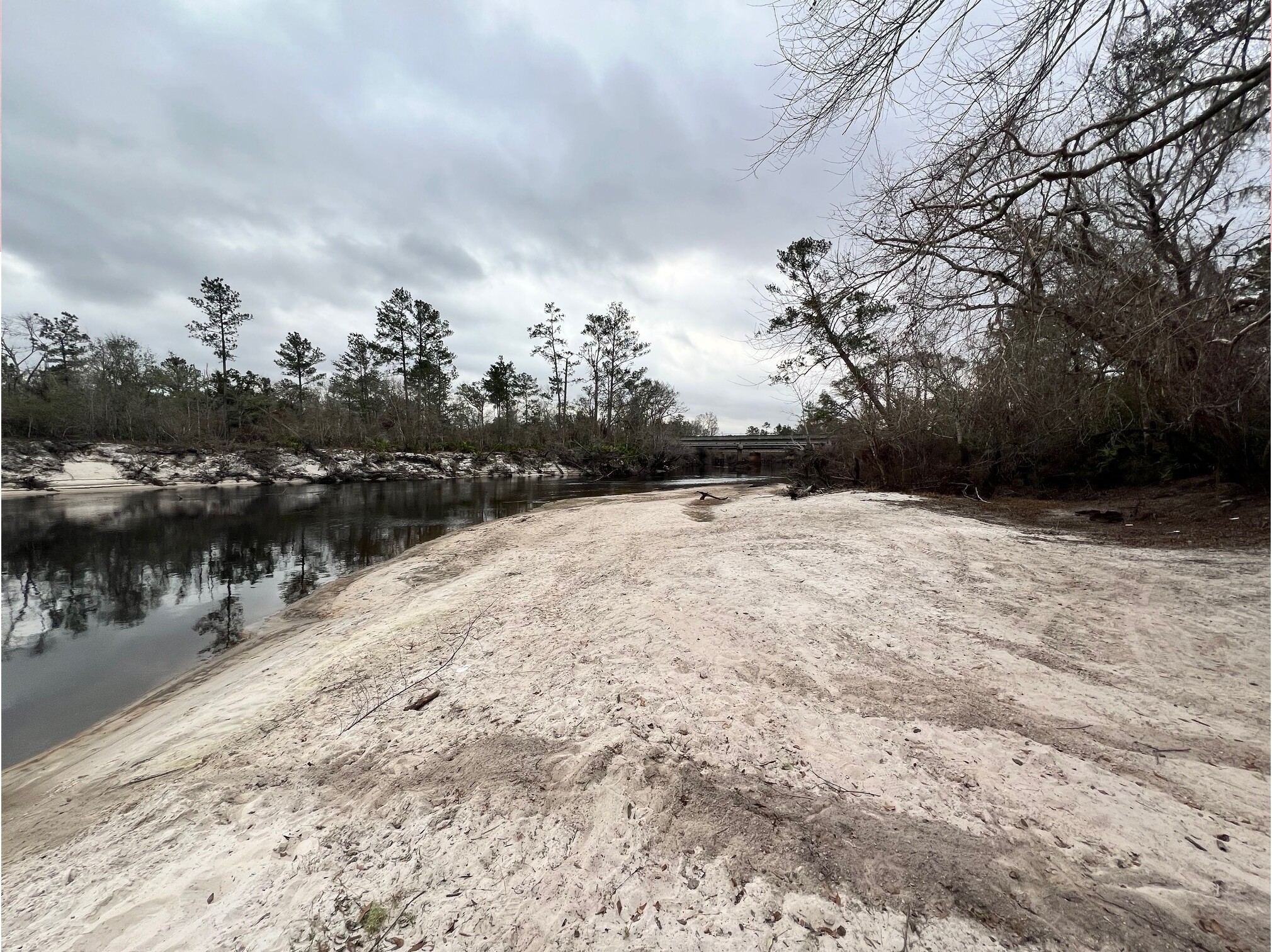 Naylor Park Beach other, Alapaha River @ US 84 2025-02-13