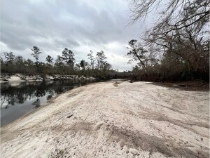 [Naylor Park Beach other, Alapaha River @ US 84 2025-02-13]