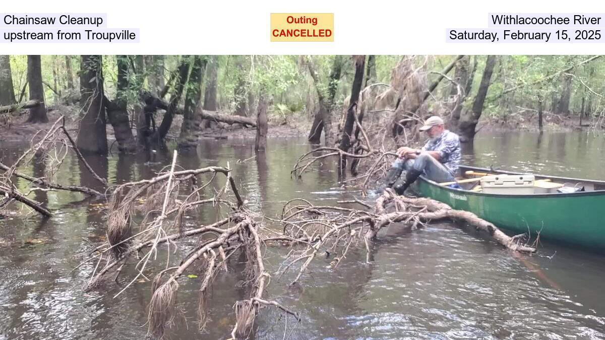 Chainsaw Cleanup, Withlacoochee River, upstream from Troupville, Saturday, February 15, 2025