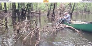 [Chainsaw Cleanup, Withlacoochee River, upstream from Troupville, Saturday, February 15, 2025]