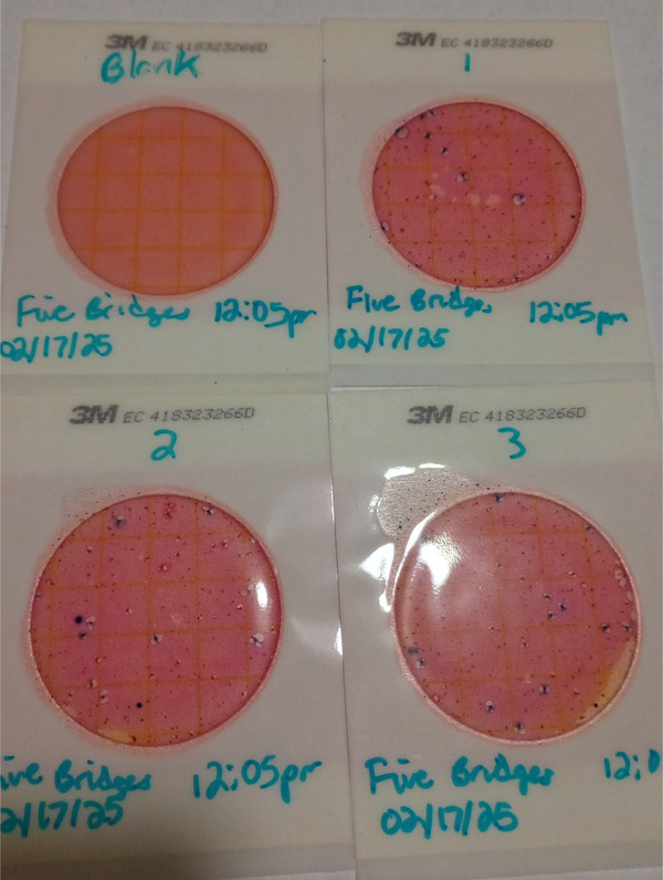 [Plates, Little River @ US 82 2025-02-17]