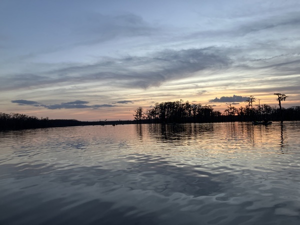 [Sunset cypress and boats --Gretchen Quarterman]