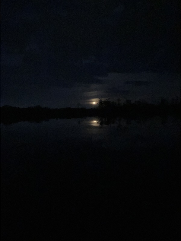 [Moonrise --Gretchen Quarterman]