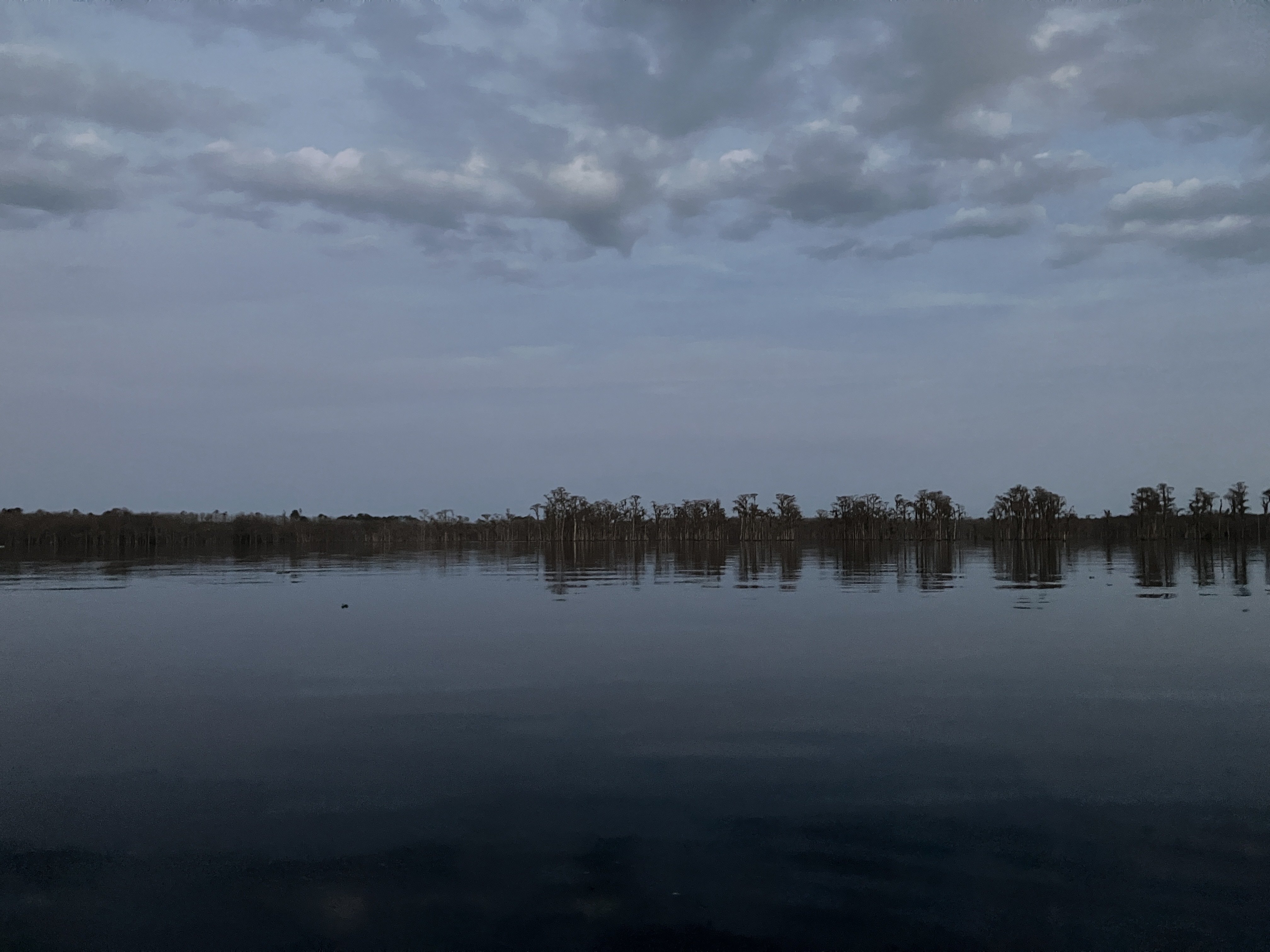 Slate-grey sky --Gretchen Quarterman