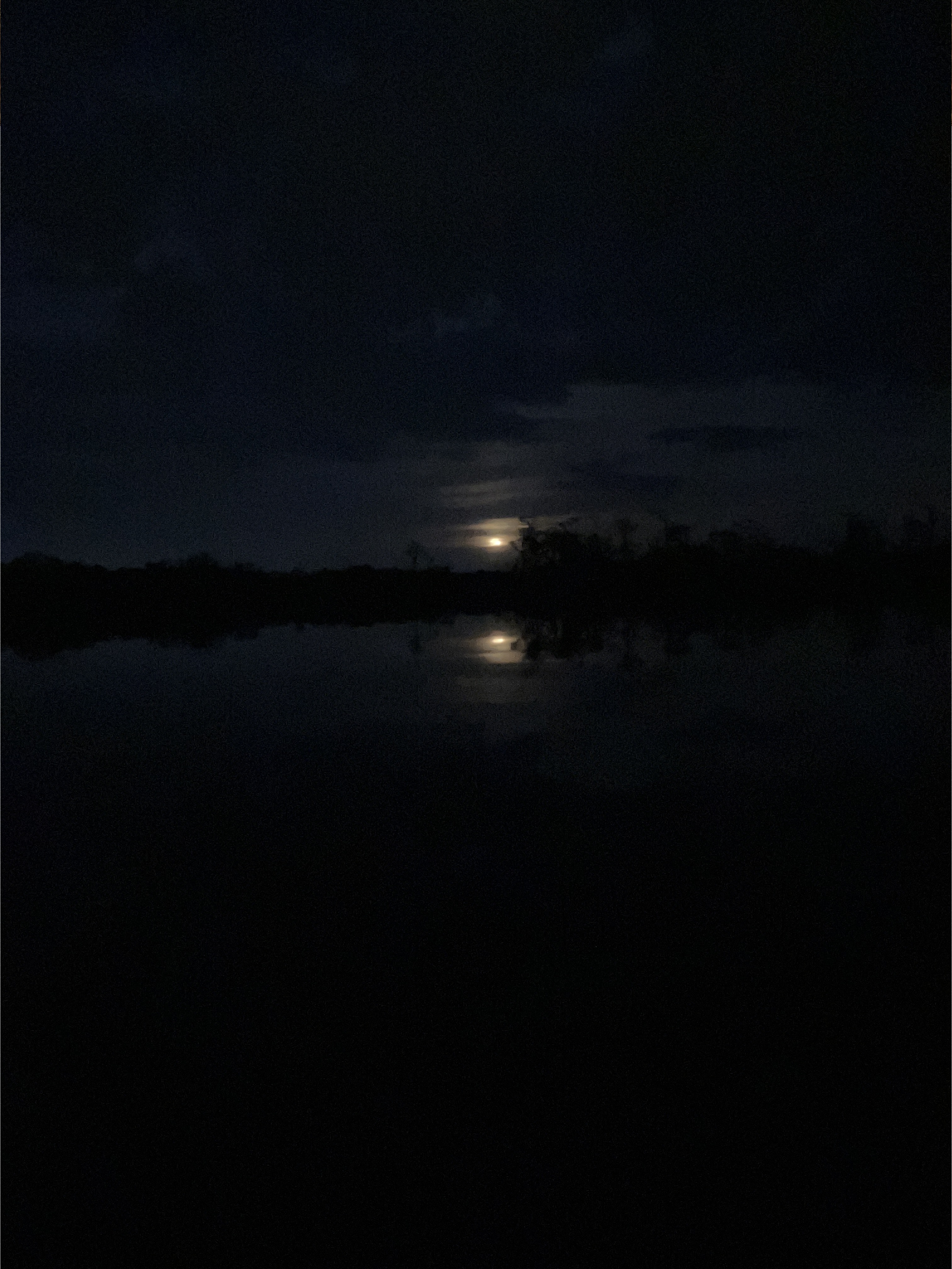 Moonrise --Gretchen Quarterman