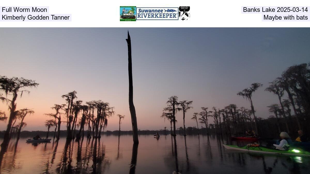 Full Worm Moon, Banks Lake 2025-03-14, Kimberly Godden Tanner, Maybe with bats