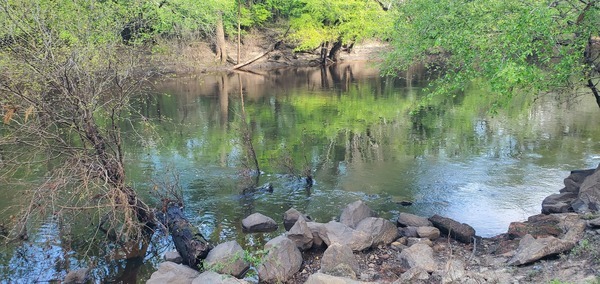 Closeup Sample Site, Little River, Troupville Boat Ramp, 10:08:25, 30.8514818, -83.3476666