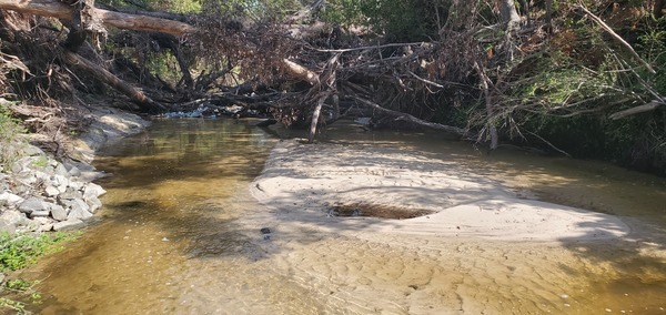 Trash downstream, Baytree Road, Sugar Creek, 10:44:47, 30.8470421, -83.3141339