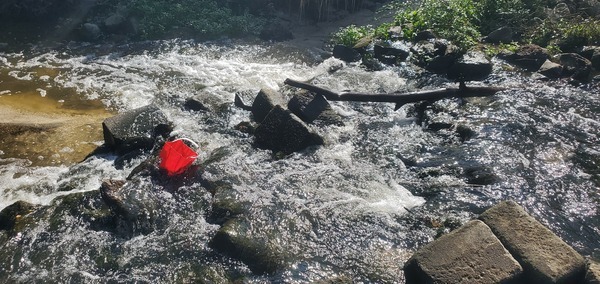 Sample bucket, Baytree Road, Sugar Creek, 10:44:50, 30.8470421, -83.3141339