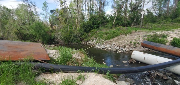 Upstream, NSFRR, Sugar Creek, 11:07:20, 30.8519166, -83.3147740