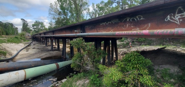 Downstream, NSFRR, Sugar Creek, 11:07:22, 30.8519166, -83.3147740