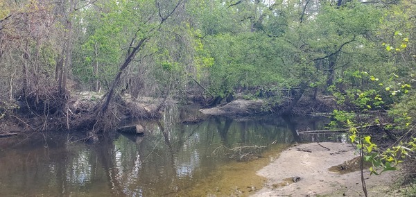Two Mile Branch entering Sugar Creek, 11:46:41, 30.8624668, -83.3185928