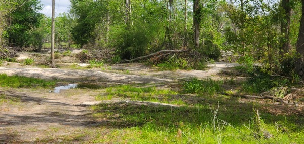 To Sugar Creek WaterGoat, 11:48:12, 30.8624488, -83.3186149