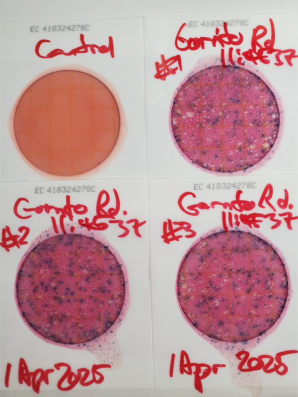 Plates, Gornto Road, Sugar Creek, 2025-04-01