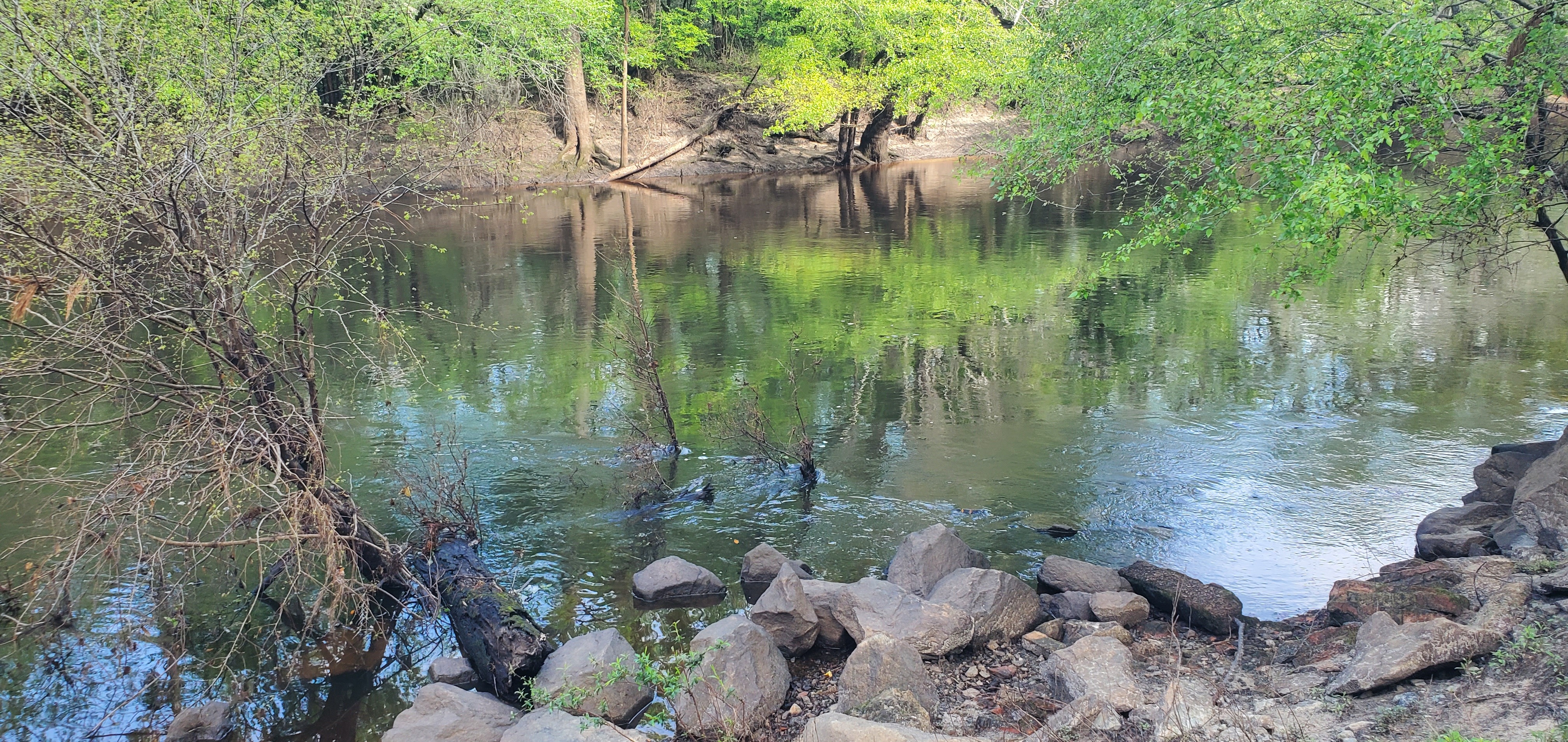 Closeup Sample Site, Little River, Troupville Boat Ramp, 10:08:25, 30.8514818, -83.3476666