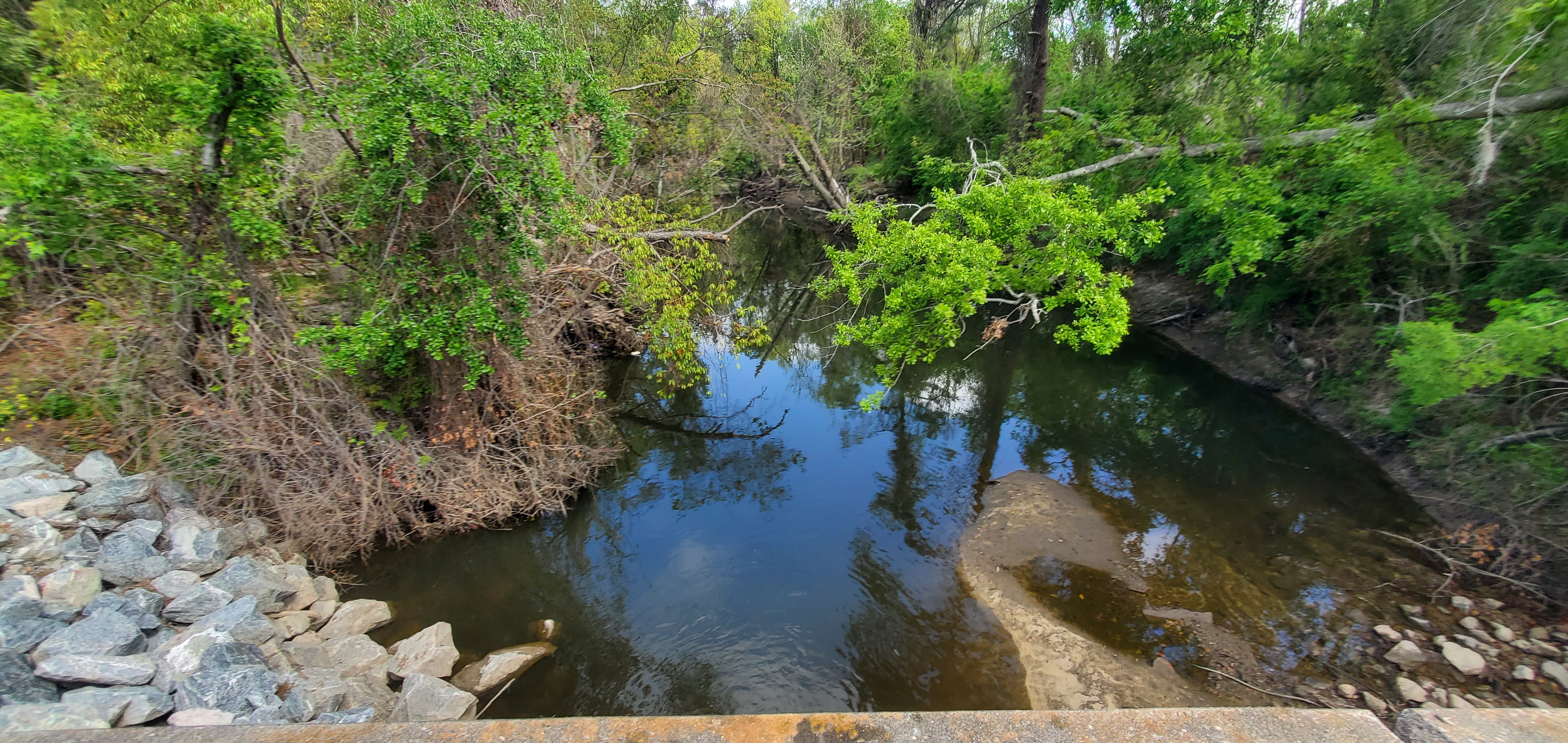 Gornto Road Bridge, Sugar Creek, 11:37:15, 30.8599464, -83.3173226