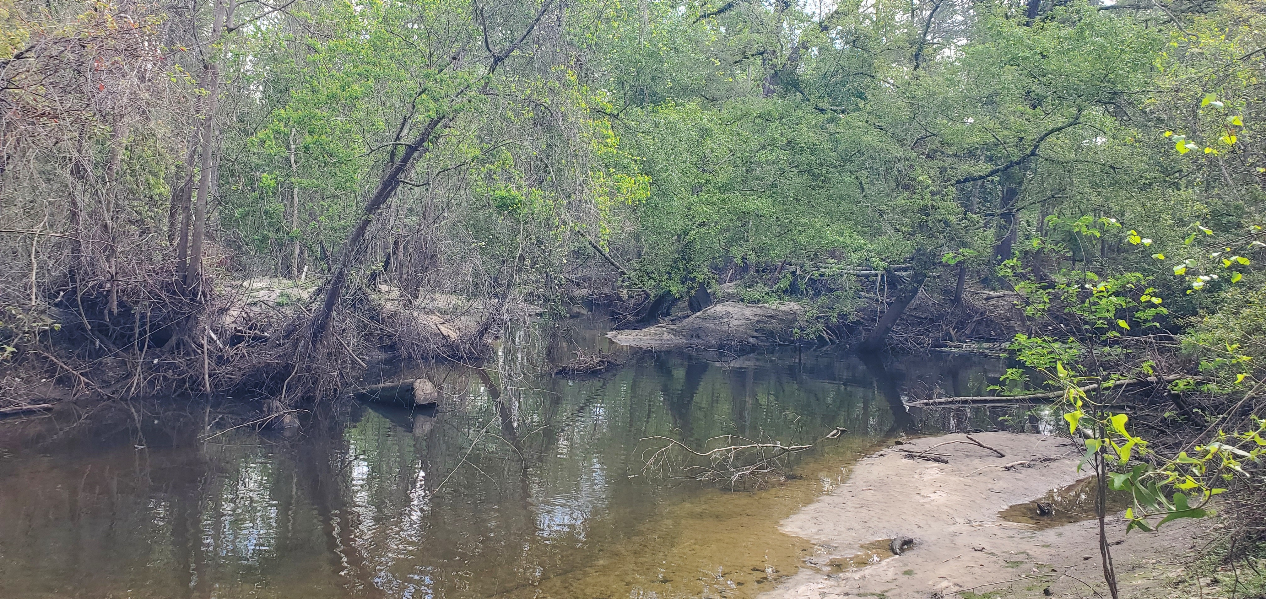 Two Mile Branch entering Sugar Creek, 11:46:41, 30.8624668, -83.3185928