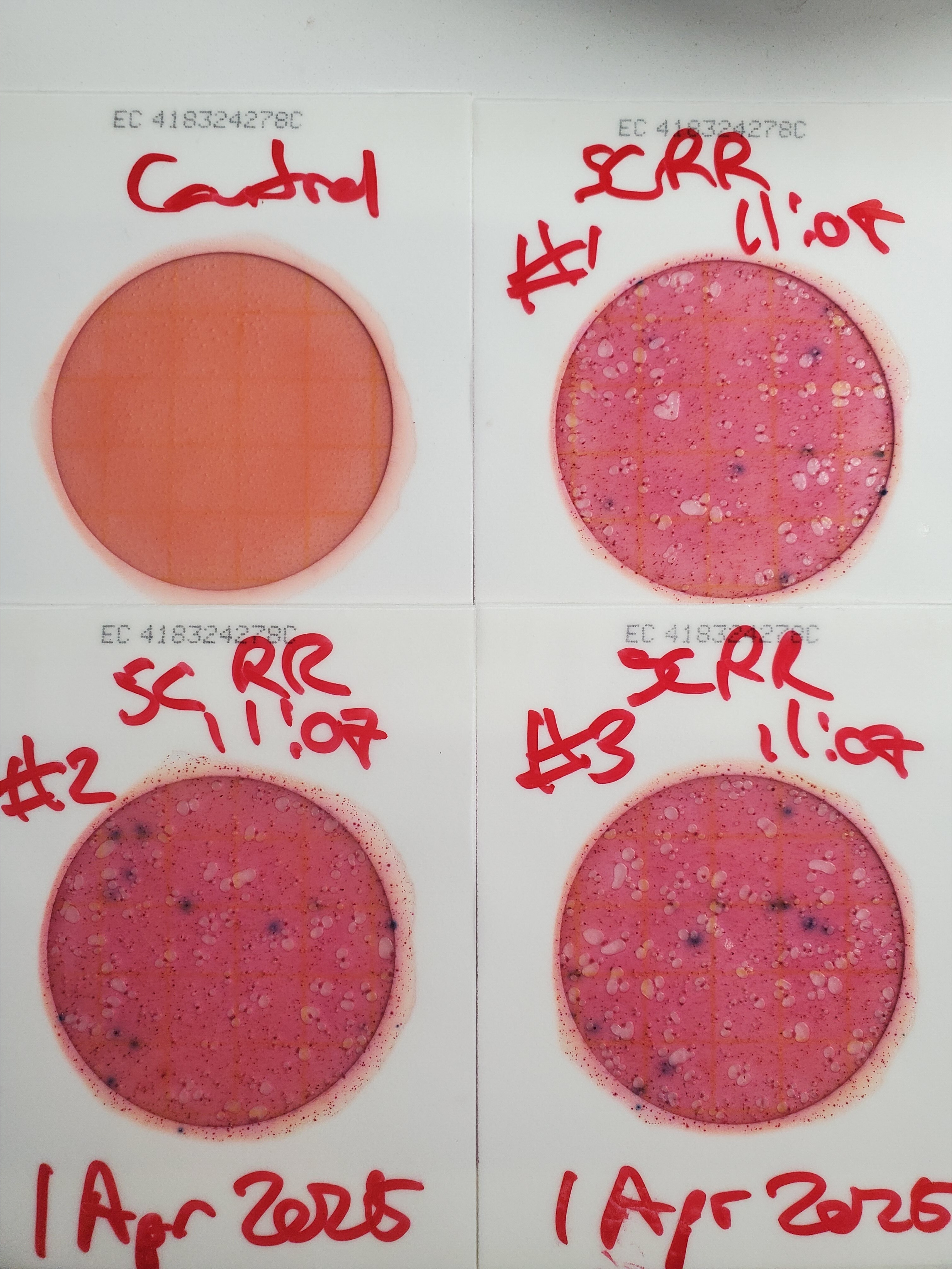 Plates, NSRR, Sugar Creek, 2025-04-01