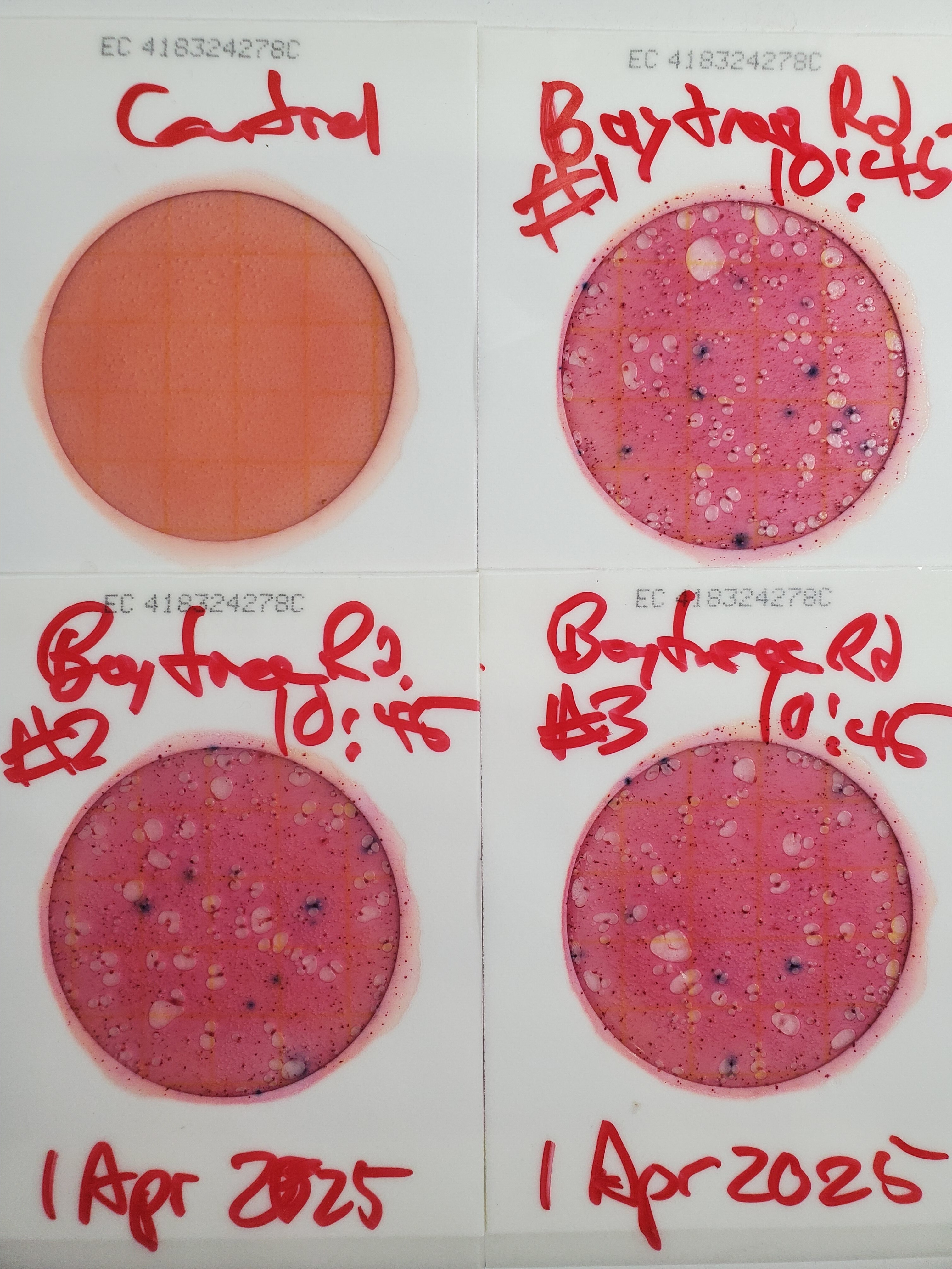 Plates, Baytree Road, Sugar Creek, 2025-04-01