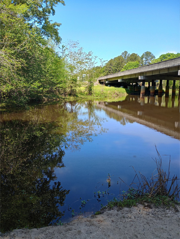Right bank, GA 125, Tifton, GA other, New River of Withlacoochee @ GA 125 2025-03-04, 2025:04:02 12:51:04, 31.4438438, -83.4932938