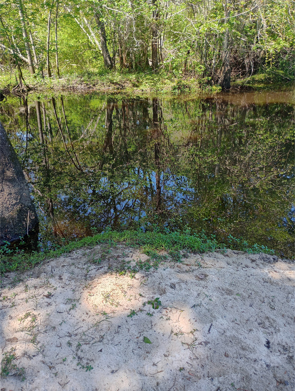 GA 125, Tifton, GA other, New River of Withlacoochee @ GA 125 2025-03-04, 2025:04:02 12:51:16, 31.3605251, -83.4274521