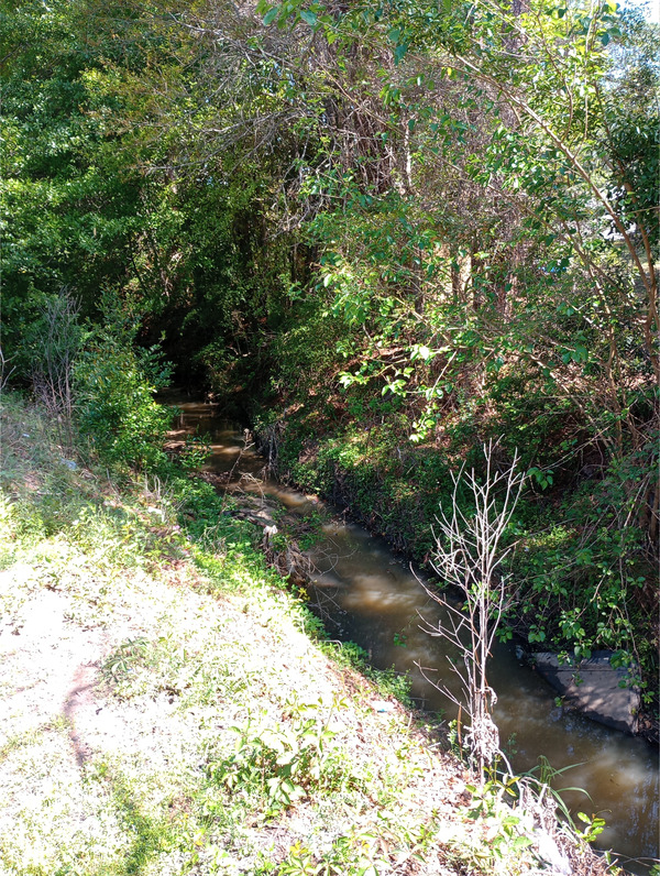 East of The Pub, Tifton, GA, New River of Withlacoochee @ 18th Street 2025-04-02, 2025:04:02 12:12:59, 31.4716186, -83.5176926