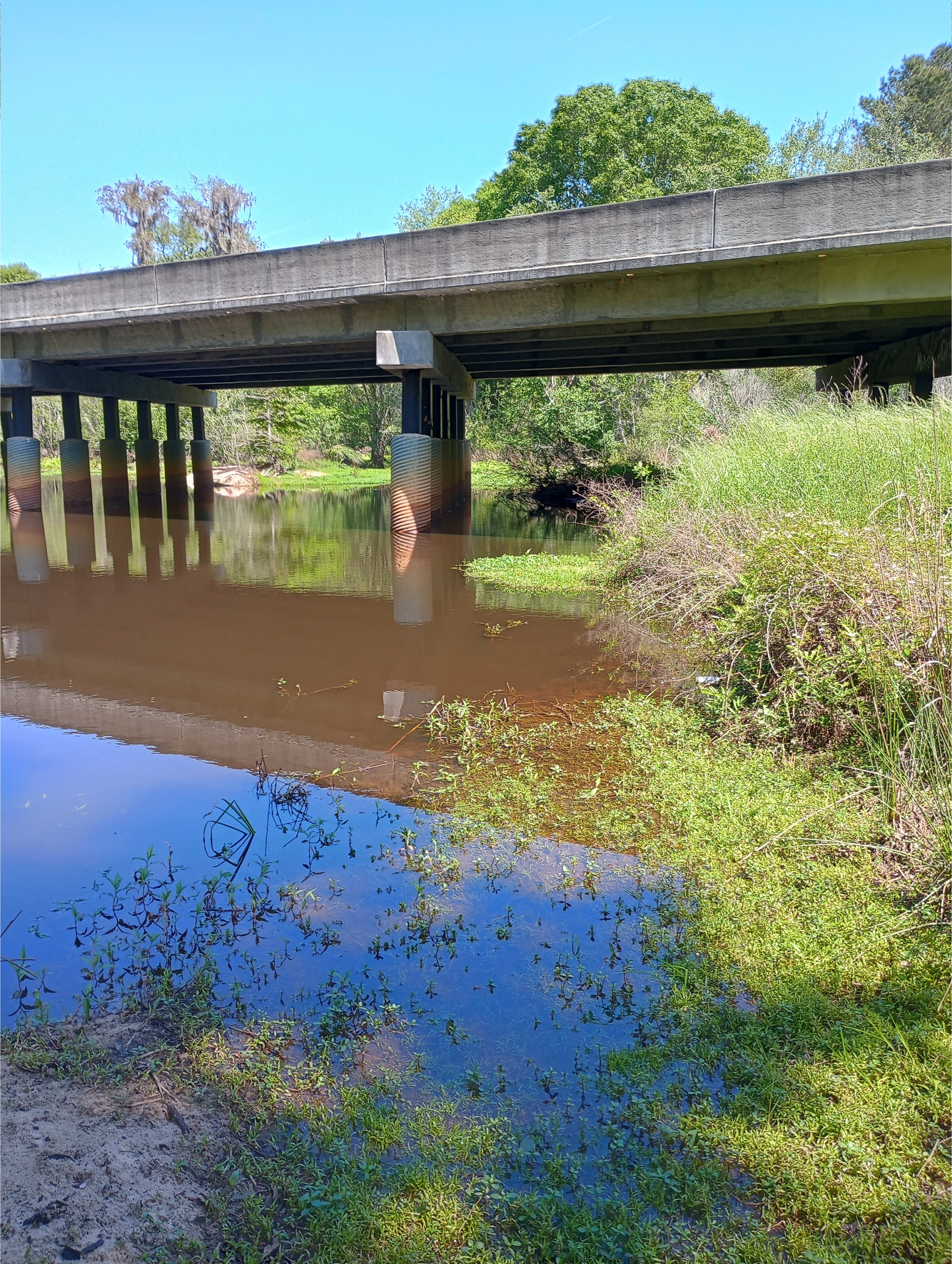 Left bank, GA 125, Tifton, GA, New River of Withlacoochee @ GA 125 2025-03-04, 2025:04:02 12:51:07, 31.3605251, -83.4274521