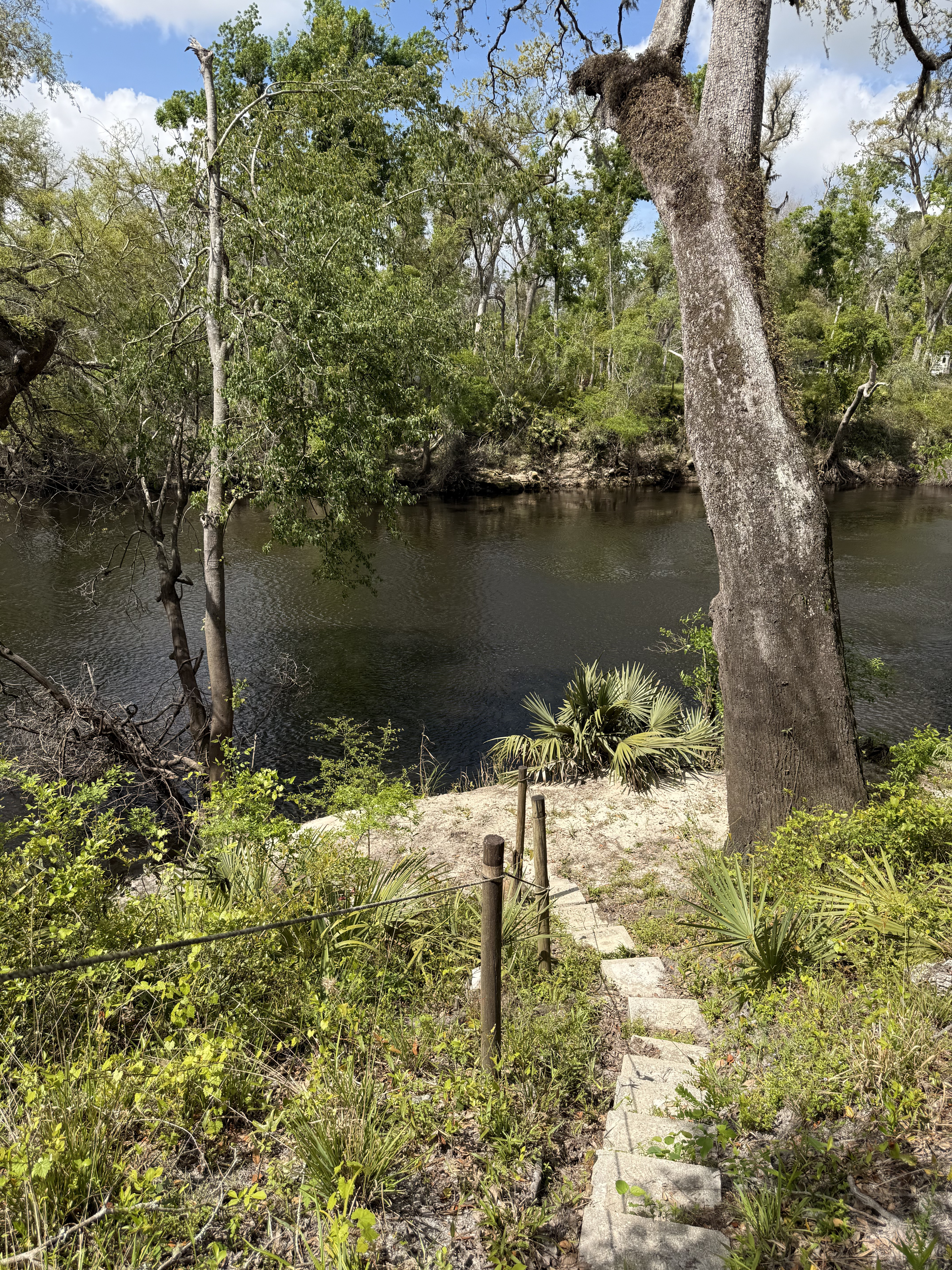 Holly Point, Withlacoochee River @ NE Withla Bluffs Way 2025-04-03