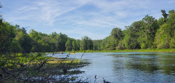 [Paddlers in wide area, 10:54:37, 29.9716061, -82.7597134]