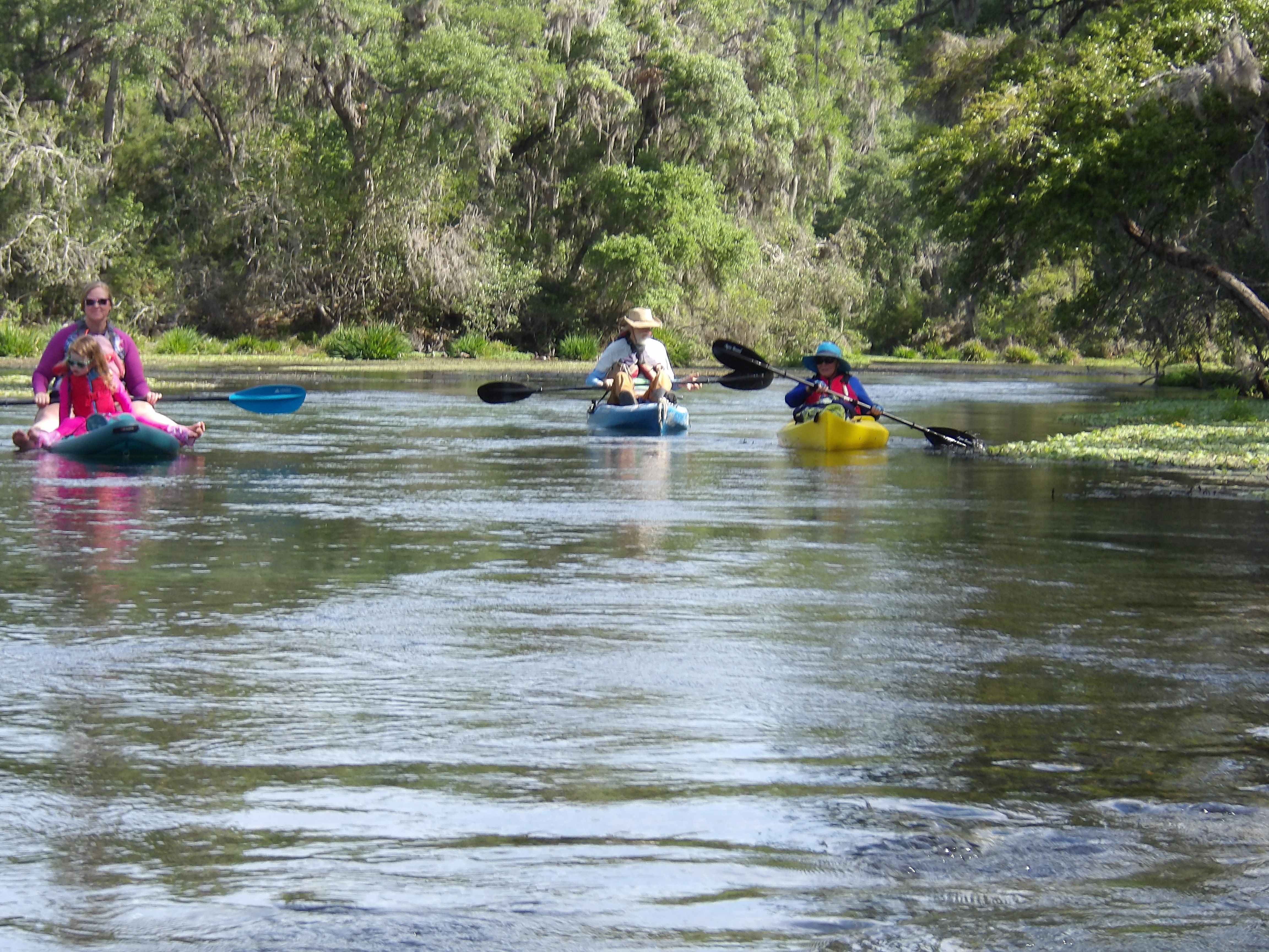 Paddlers --Janet Martin