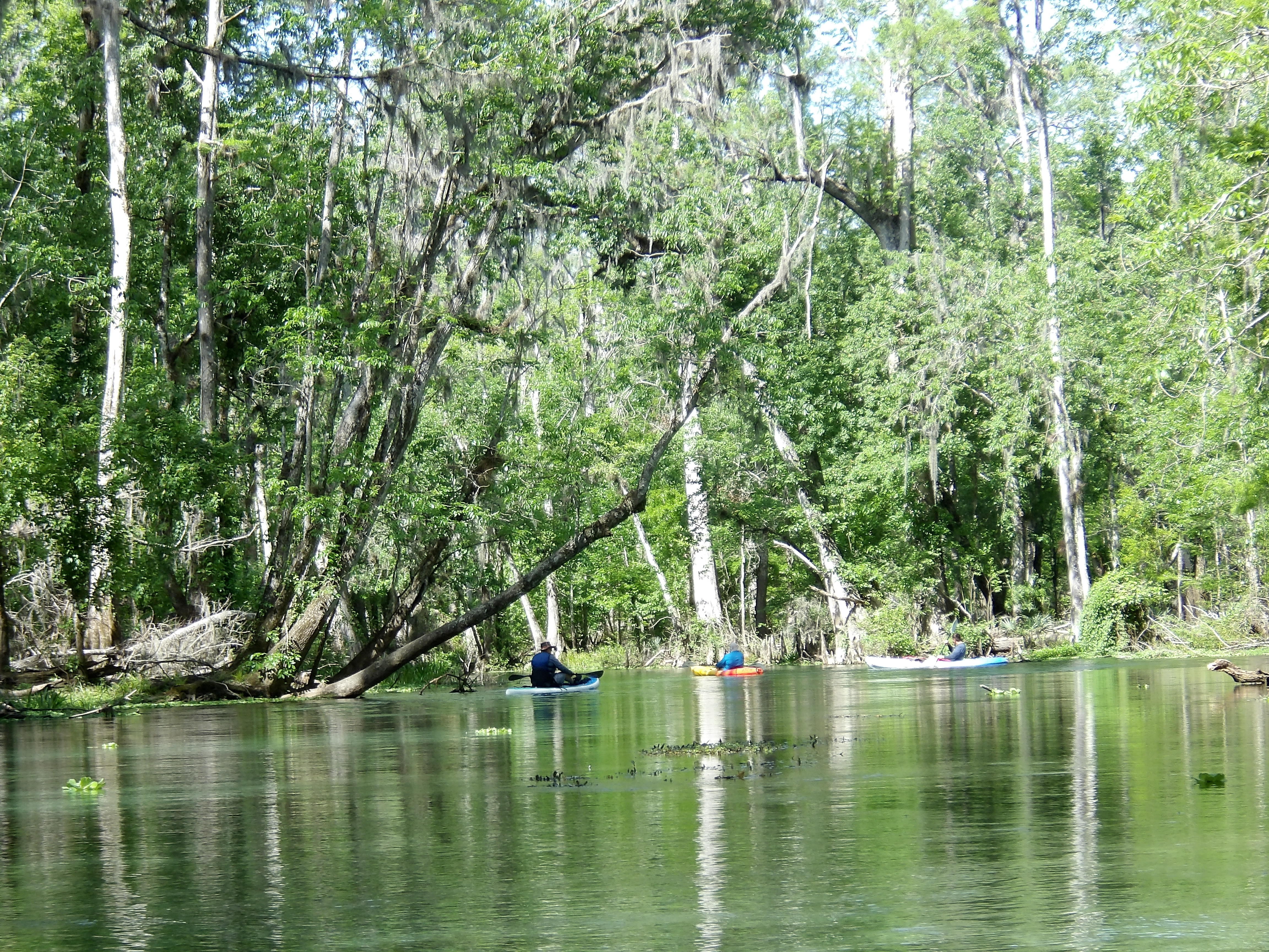 Boats ahead --Janet Martin