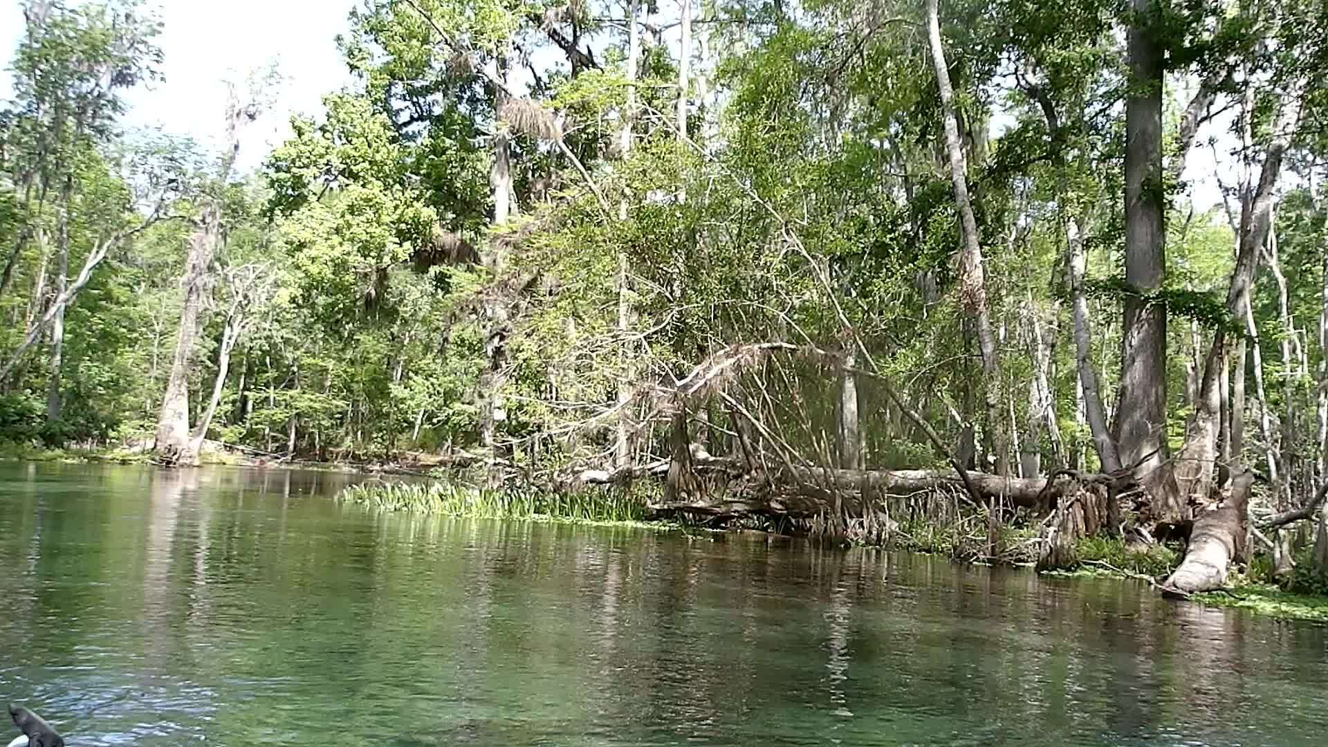 Movie: Idyllic Ichetucknee River, (79M) --Janet Martin