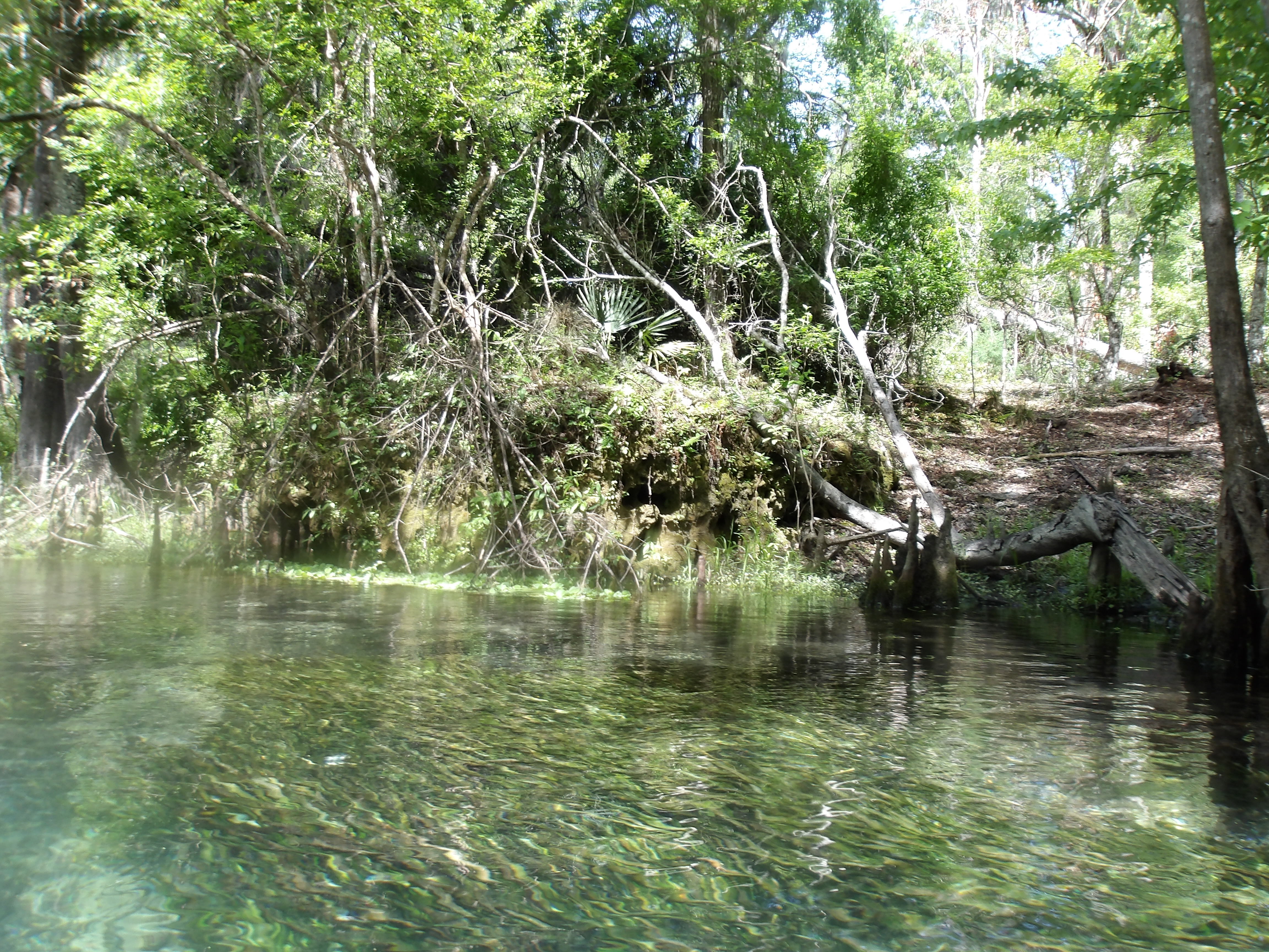Riverside access? --Janet Martin