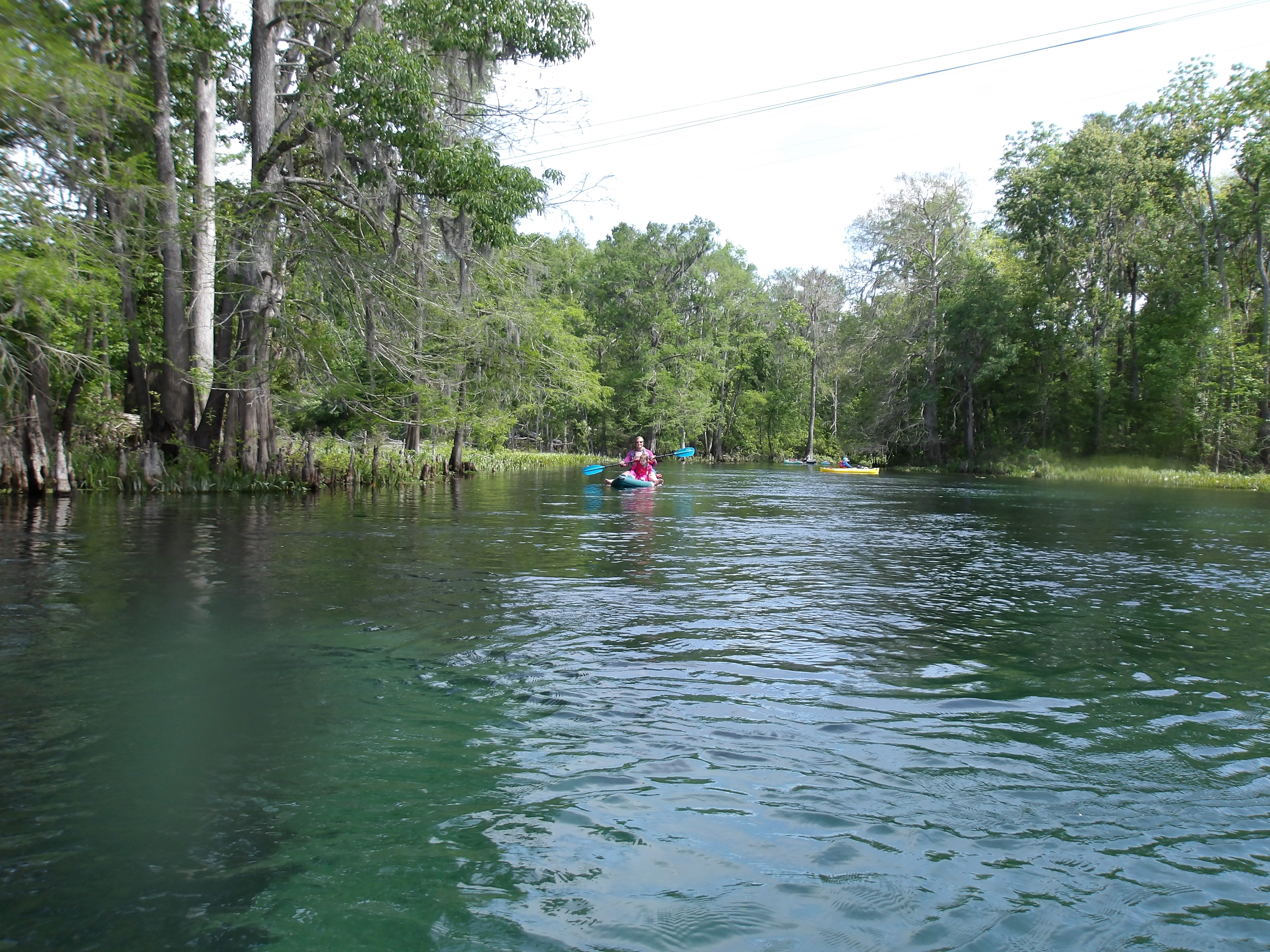 Paddlers below the power line --Janet Martin