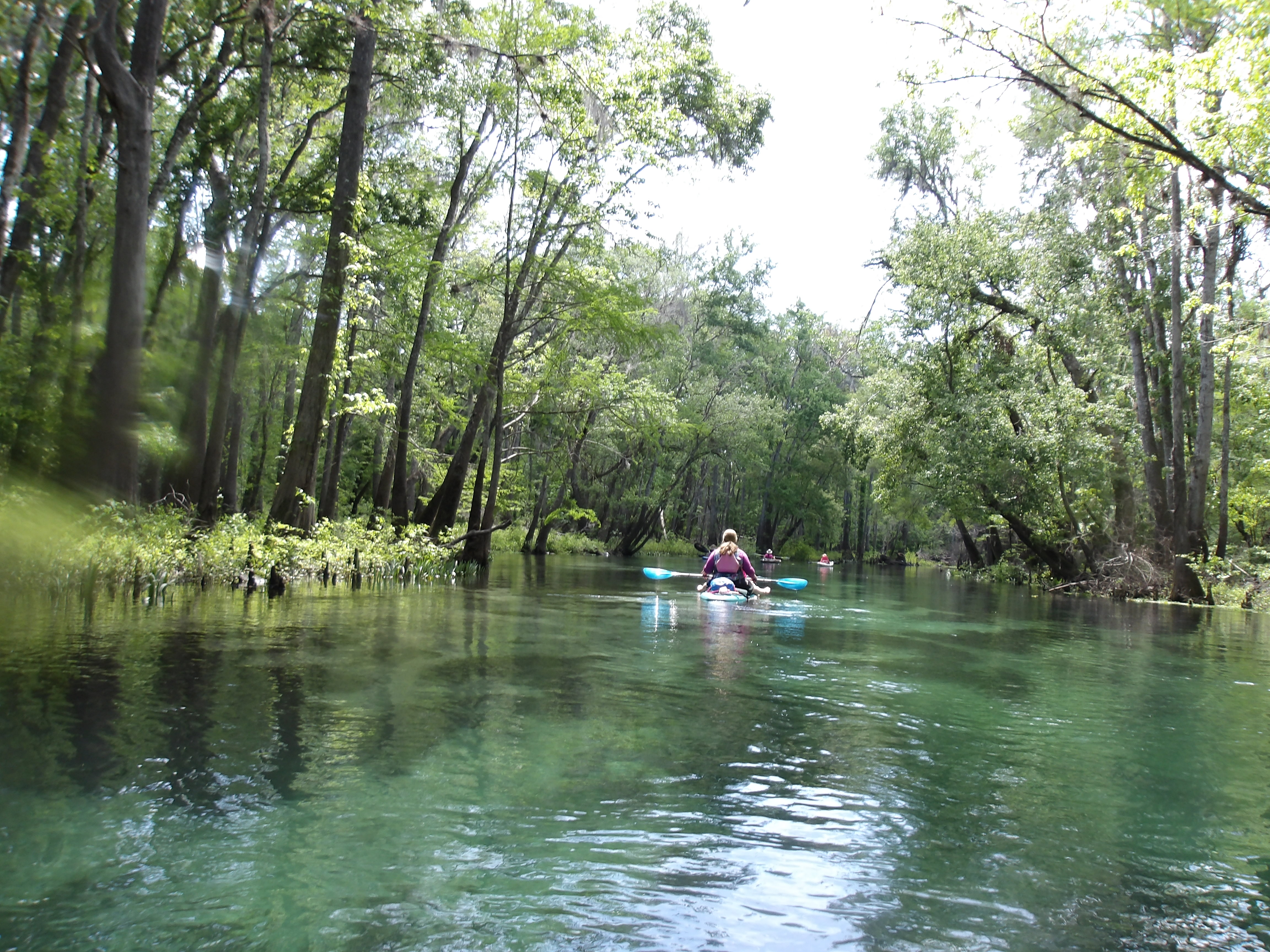 Green paddlers --Janet Martin