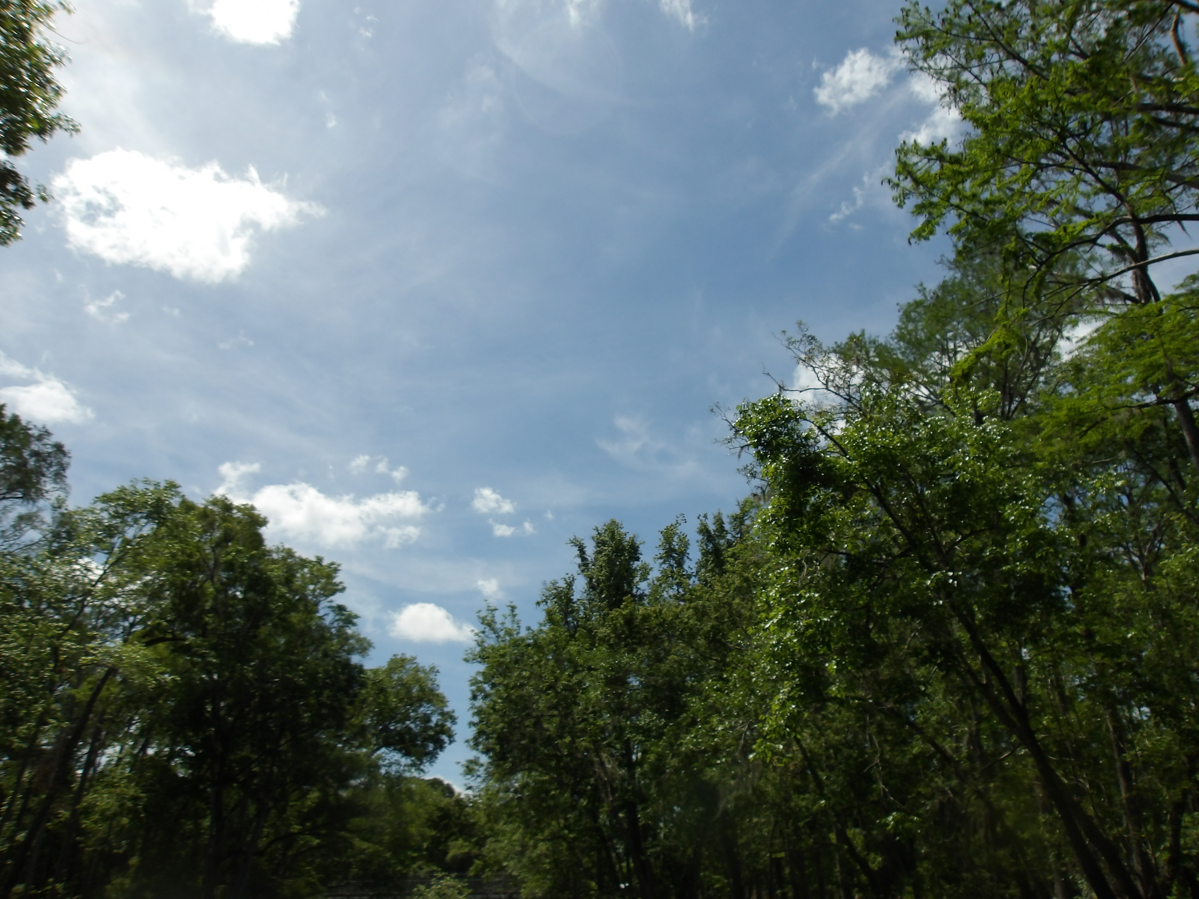 Sky --Janet Martin