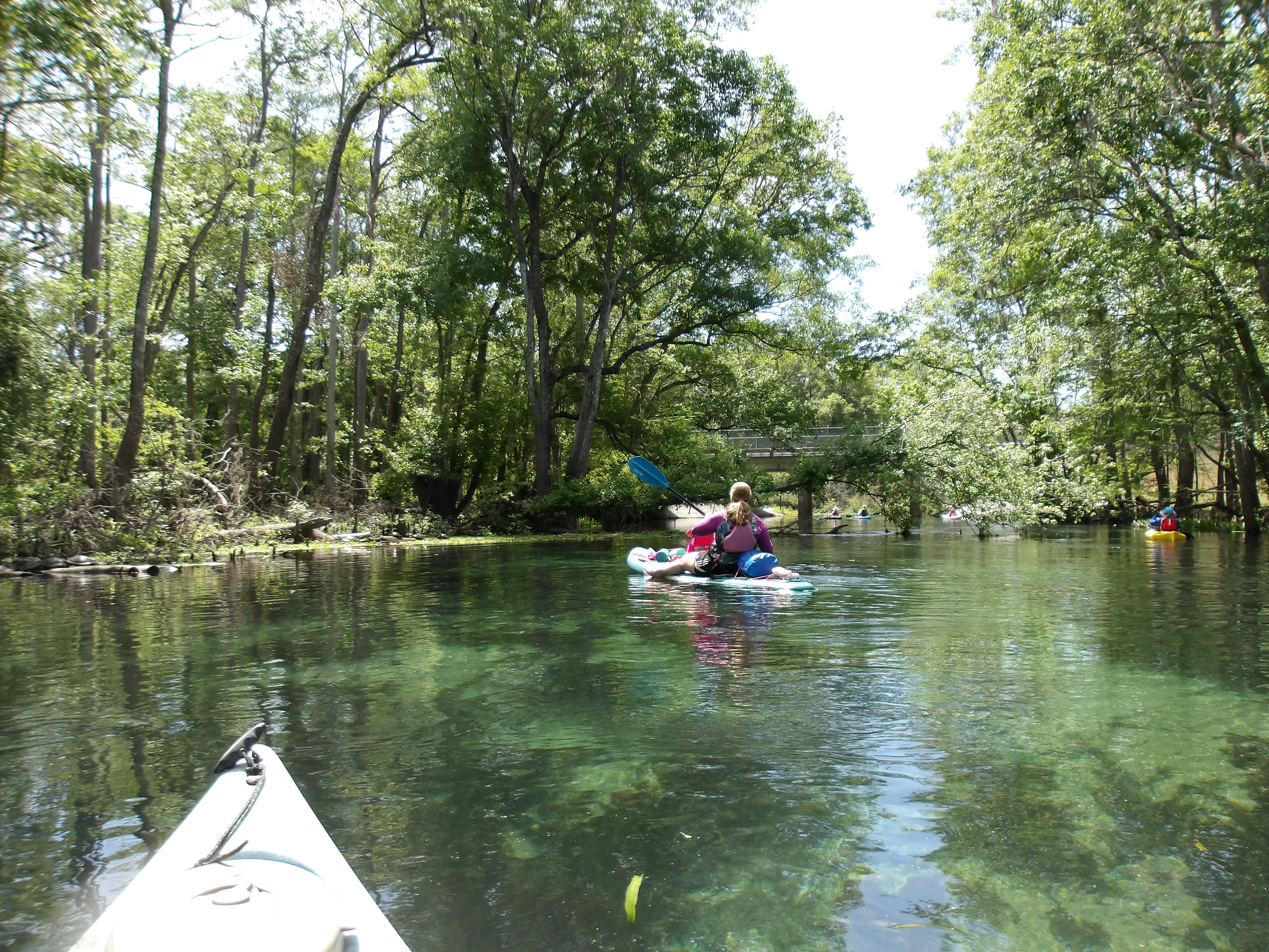 Paddlers at US 27 Bridge --Janet Martin
