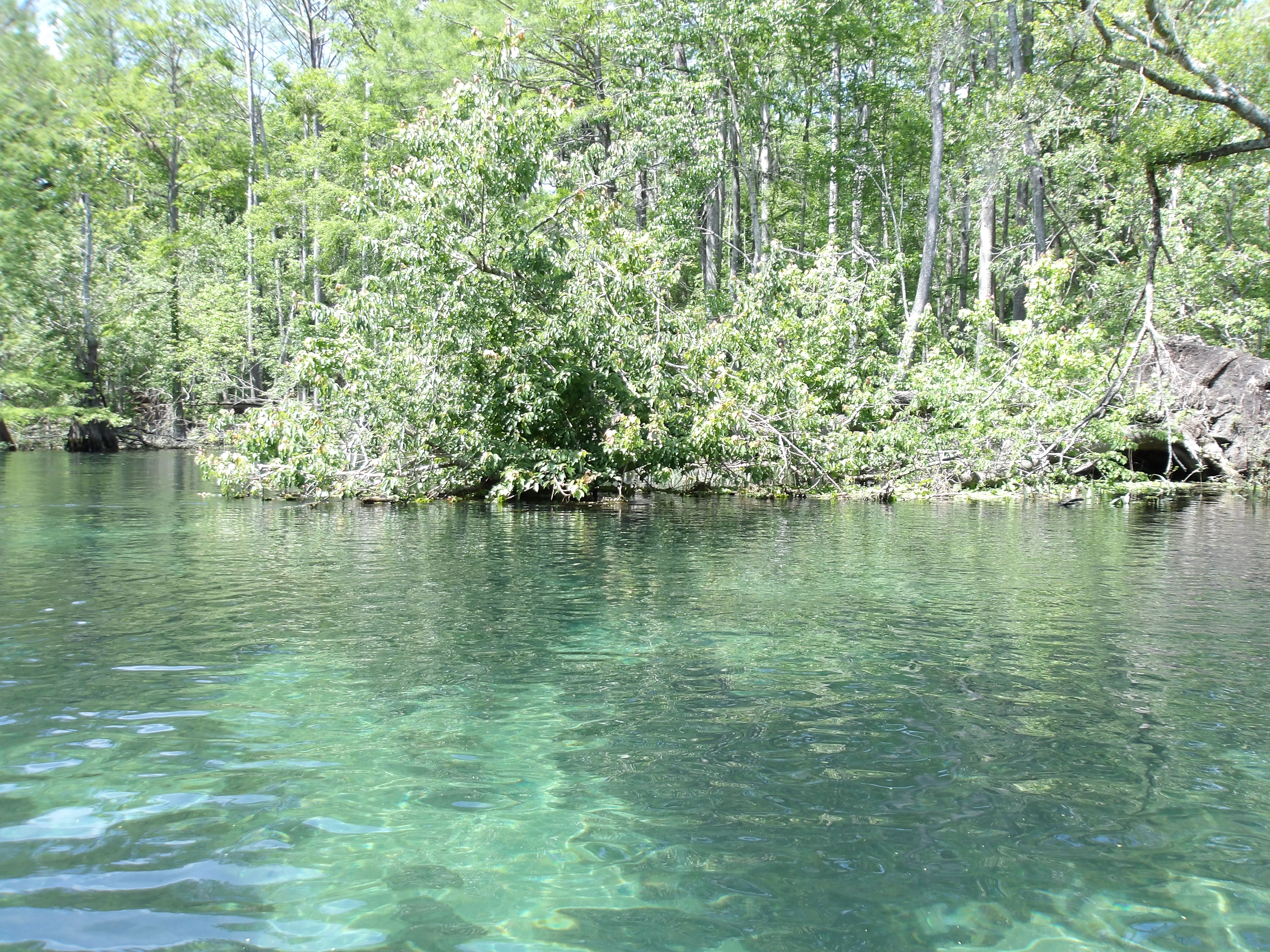 High water --Janet Martin