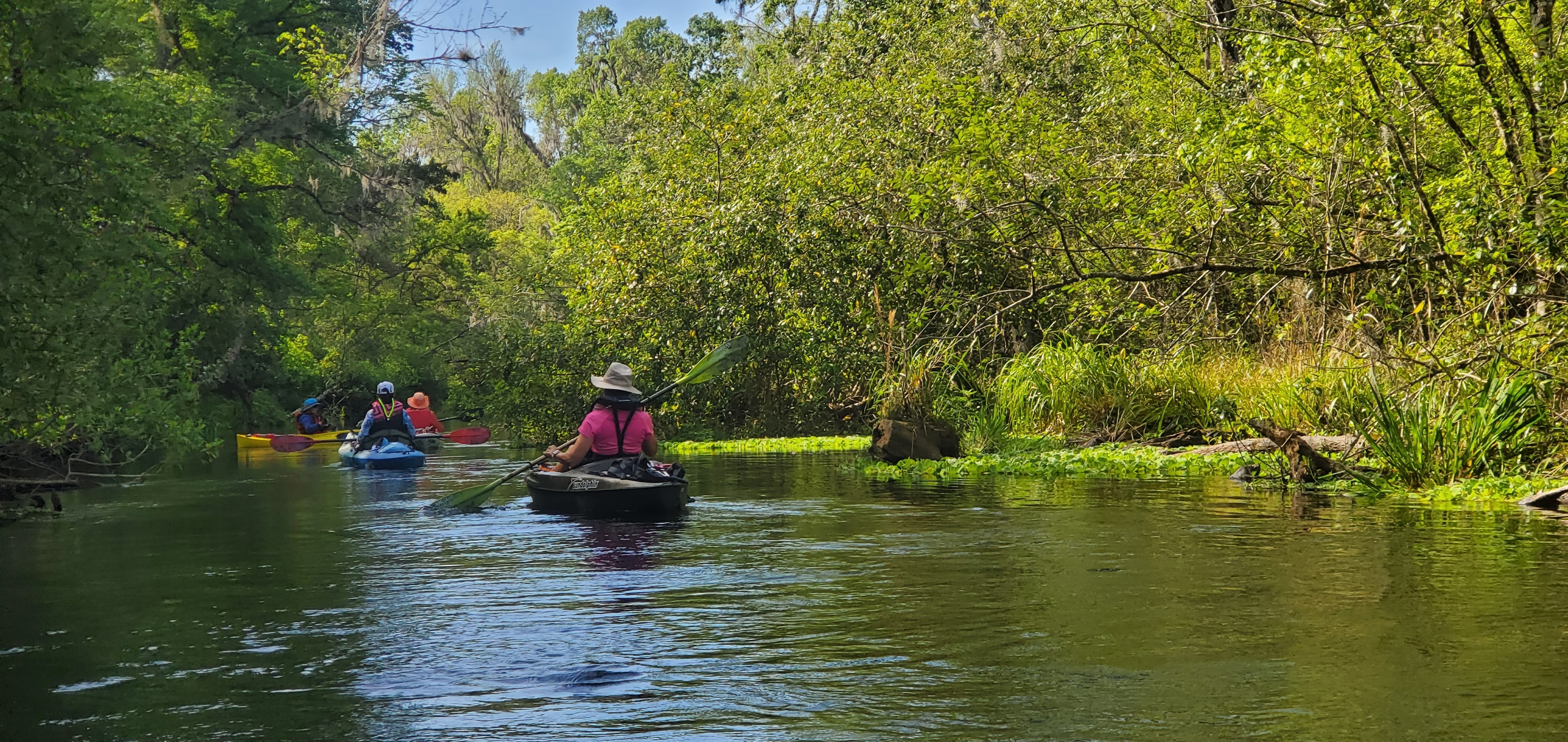 Janet among the paddlers, 10:28:37, 29.9829903, -82.7603871