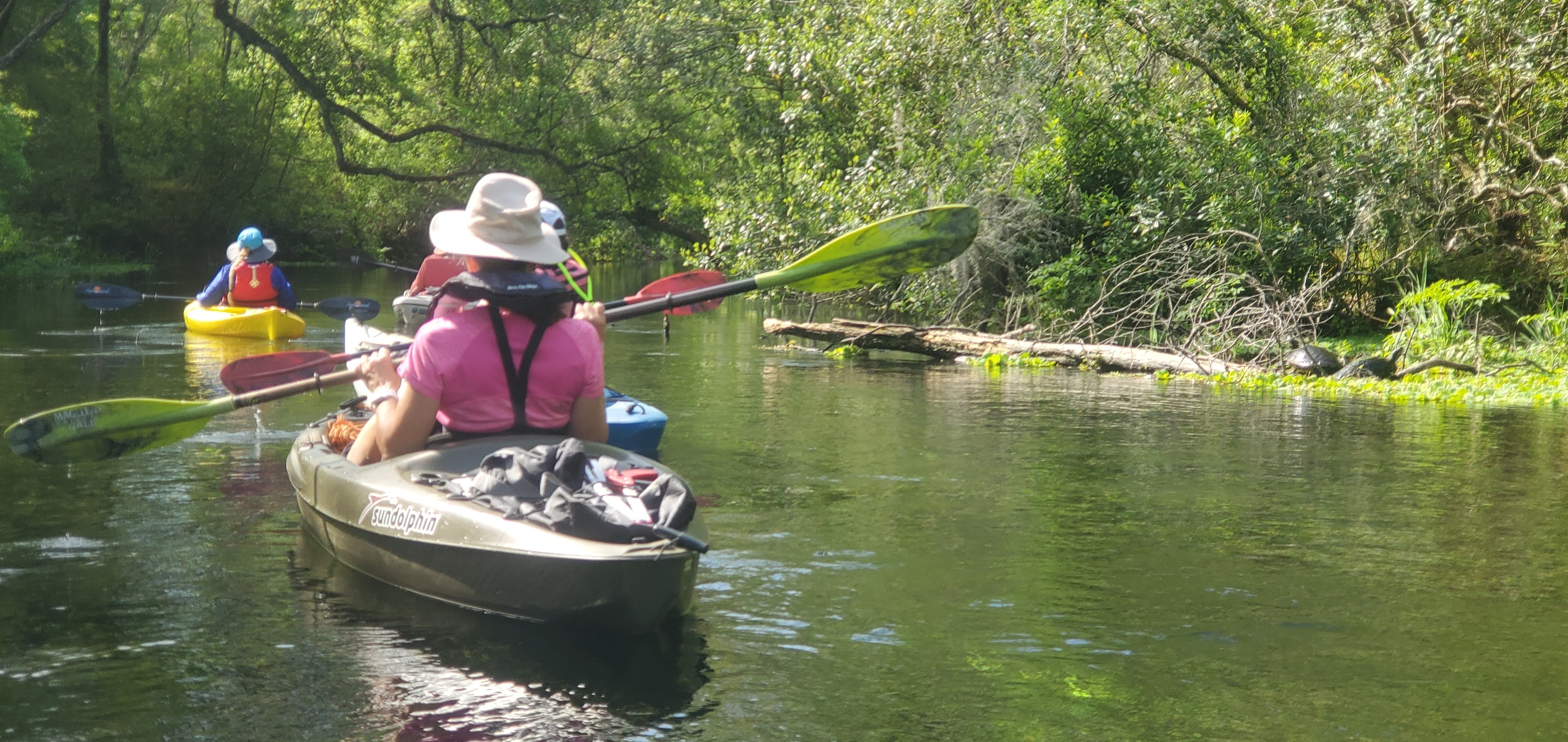 Paddling by turtles, 10:30:55, 29.9821904, -82.7600523