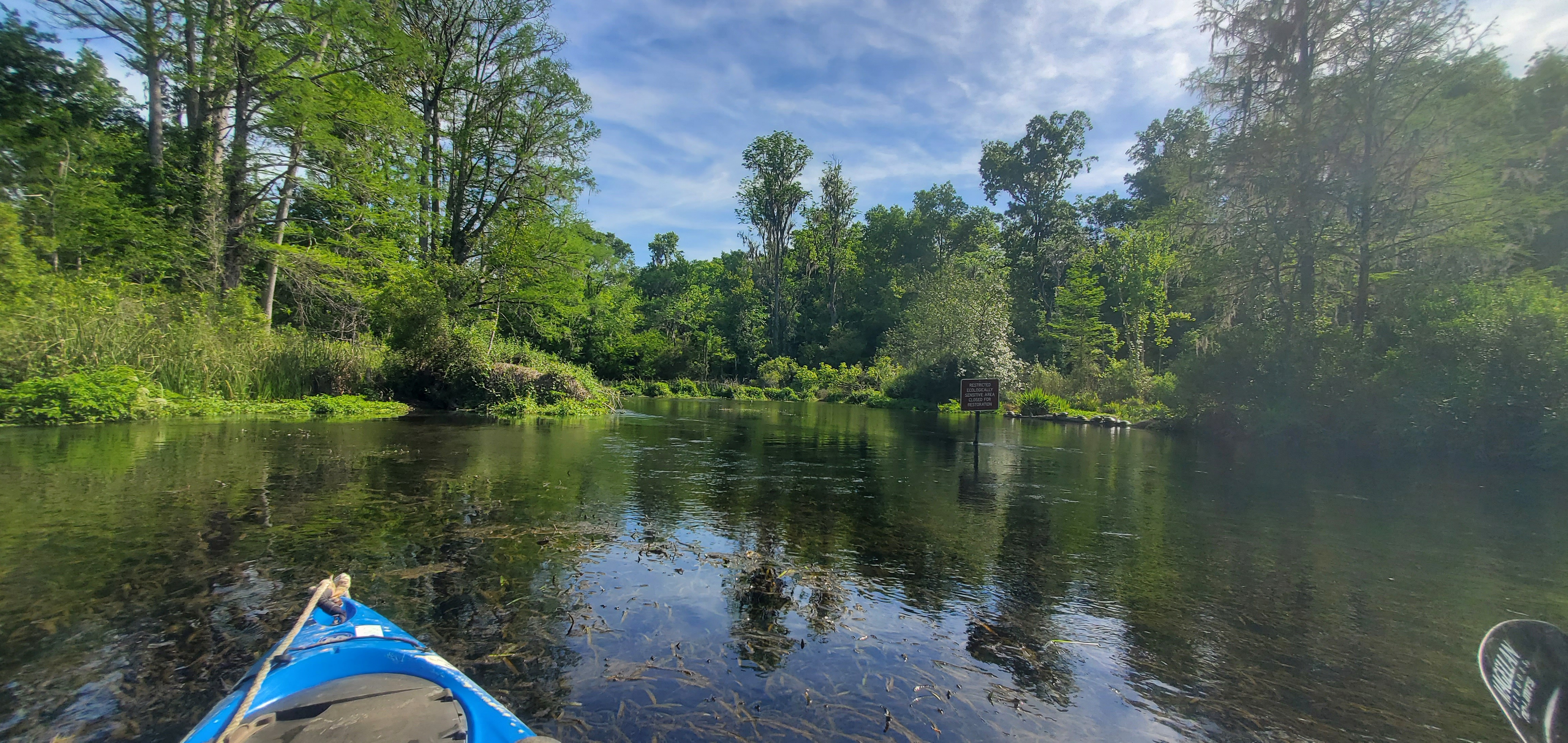 Context: Blue Hole Spring, 1st Magnitude, 10:36:01, 29.9803591, -82.7588304